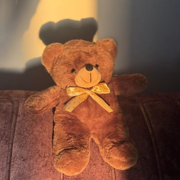 Coco Teddy Bear 🧸